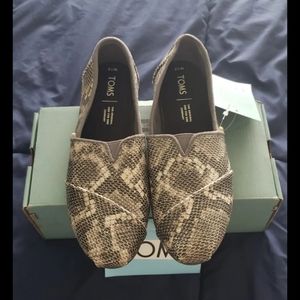 Snake skin Toms